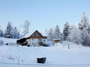 Apartment Mühlenmichelshäusle by Interhome Hinterzarten